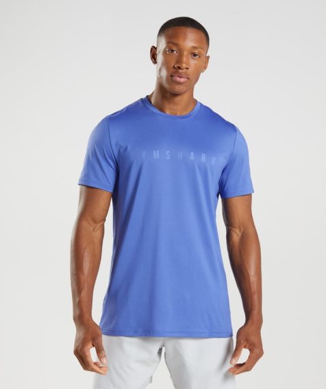 Men's Gymshark Sport Stripe T-Shirts Blue | NZ 6VOPCE